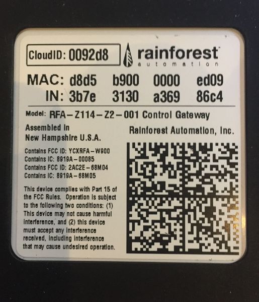 File:RainforestEagle01.jpg